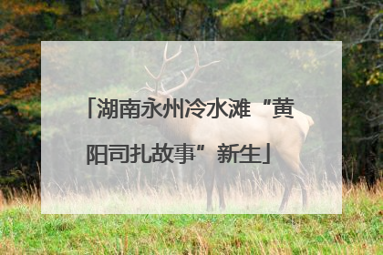 湖南永州冷水滩“黄阳司扎故事”新生