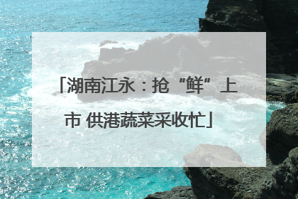 湖南江永：抢“鲜”上市 供港蔬菜采收忙