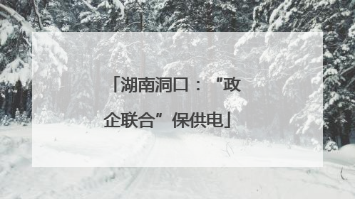 湖南洞口：“政企联合”保供电