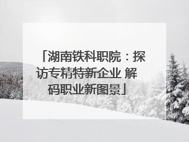 湖南铁科职院：探访专精特新企业 解码职业新图景