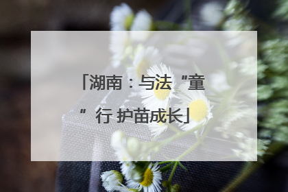 湖南：与法“童”行 护苗成长