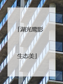 湖光鹭影生态美