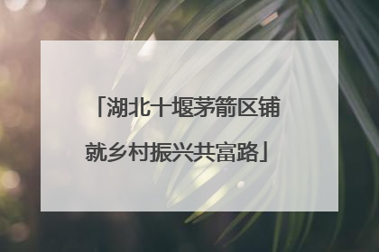 湖北十堰茅箭区铺就乡村振兴共富路