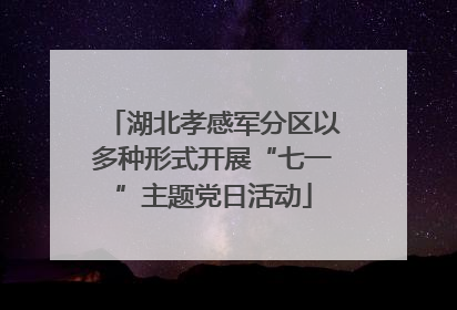 湖北孝感军分区以多种形式开展“七一”主题党日活动