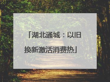湖北通城：以旧换新激活消费热