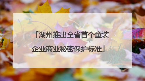 湖州推出全省首个童装企业商业秘密保护标准
