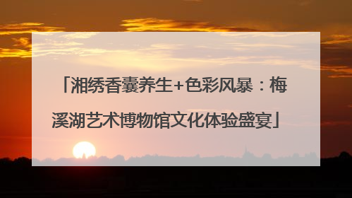 湘绣香囊养生+色彩风暴：梅溪湖艺术博物馆文化体验盛宴