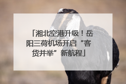 湘北空港升级！岳阳三荷机场开启“客货并举”新航程