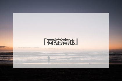 荷绽清池