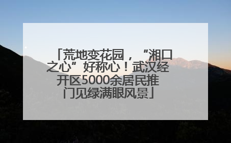 荒地变花园，“湘口之心”好称心！武汉经开区5000余居民推门见绿满眼风景