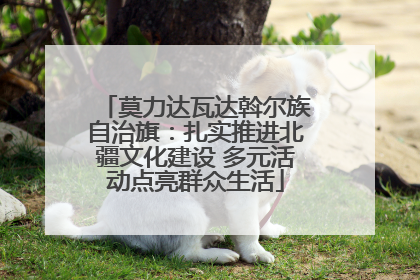 莫力达瓦达斡尔族自治旗：扎实推进北疆文化建设 多元活动点亮群众生活
