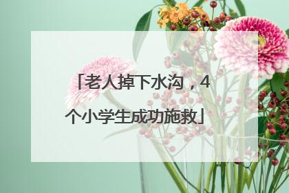 老人掉下水沟，4个小学生成功施救