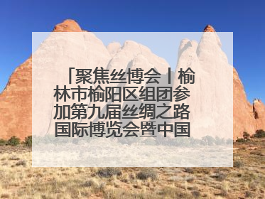 聚焦丝博会丨榆林市榆阳区组团参加第九届丝绸之路国际博览会暨中国东西部合作与投资贸易洽谈会
