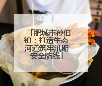 肥城市孙伯镇：打造生态河道筑牢汛期安全防线