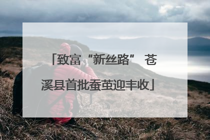 致富“新丝路” 苍溪县首批蚕茧迎丰收