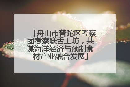 舟山市普陀区考察团考察联舌工坊，共谋海洋经济与预制食材产业融合发展