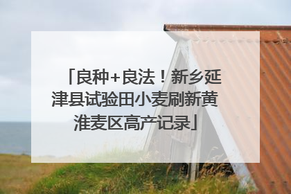 良种+良法！新乡延津县试验田小麦刷新黄淮麦区高产记录