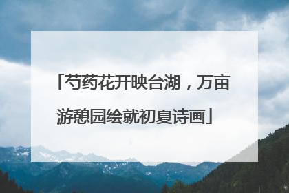 芍药花开映台湖，万亩游憩园绘就初夏诗画