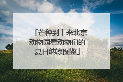 芒种到丨来北京动物园看动物们的夏日纳凉图鉴