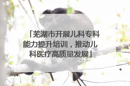 芜湖市开展儿科专科能力提升培训，推动儿科医疗高质量发展