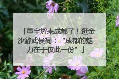 董宇辉来成都了！逛金沙游武侯祠：“成都的魅力在于仅此一份”