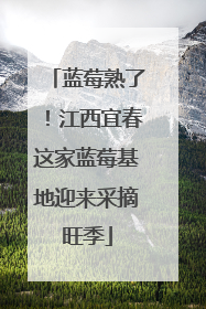 蓝莓熟了！江西宜春这家蓝莓基地迎来采摘旺季