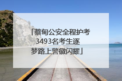 蔡甸公安全程护考 3493名考生逐梦路上警徽闪耀