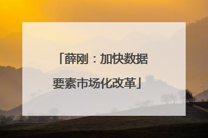 薛刚：加快数据要素市场化改革