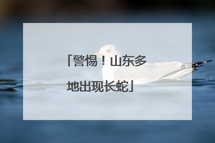 警惕！山东多地出现长蛇
