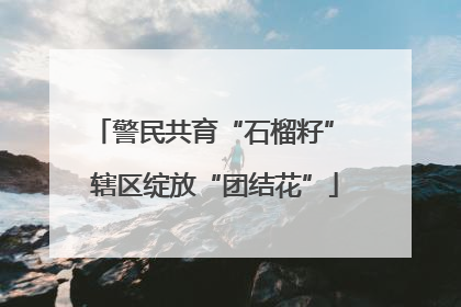 警民共育“石榴籽” 辖区绽放“团结花”