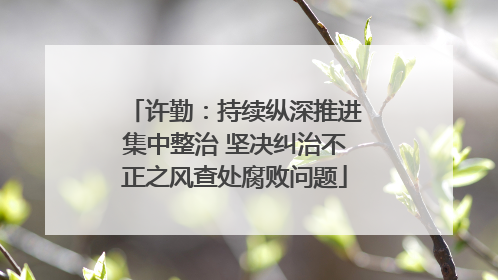 许勤：持续纵深推进集中整治 坚决纠治不正之风查处腐败问题