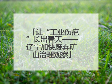 让“工业伤疤”长出春天——辽宁加快废弃矿山治理观察