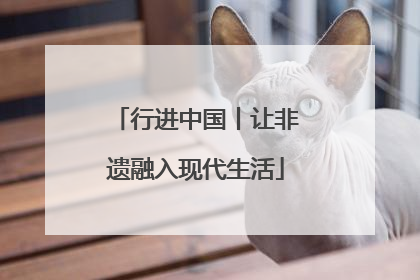 行进中国丨让非遗融入现代生活