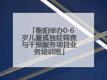 衡阳举办0-6岁儿童孤独症筛查与干预服务项目业务培训班