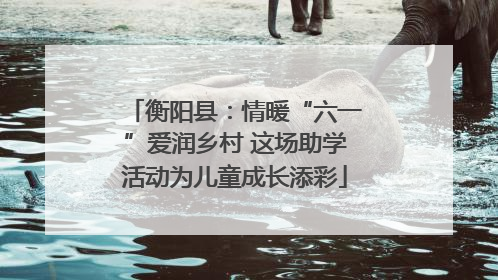 衡阳县：情暖“六一”爱润乡村 这场助学活动为儿童成长添彩