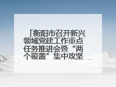 衡阳市召开新兴领域党建工作重点任务推进会暨“两个覆盖”集中攻坚工作专班 第一次会议