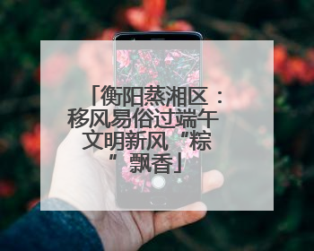 衡阳蒸湘区：移风易俗过端午 文明新风“粽”飘香