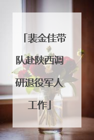 裴金佳带队赴陕西调研退役军人工作