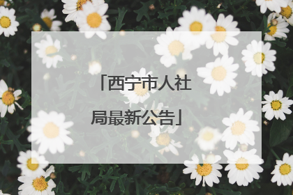西宁市人社局最新公告