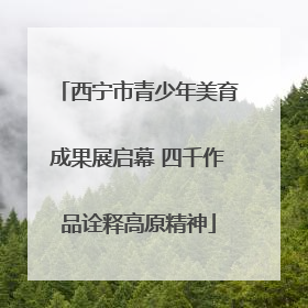 西宁市青少年美育成果展启幕 四千作品诠释高原精神