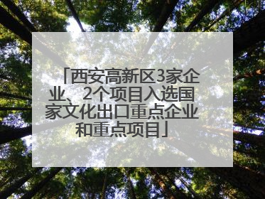 西安高新区3家企业、2个项目入选国家文化出口重点企业和重点项目