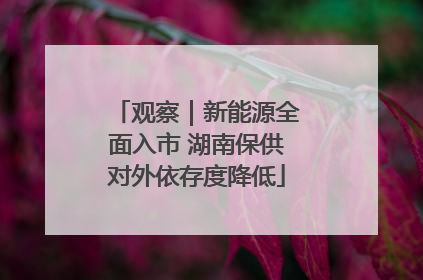 观察｜新能源全面入市 湖南保供对外依存度降低