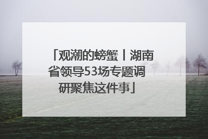 观潮的螃蟹丨湖南省领导53场专题调研聚焦这件事