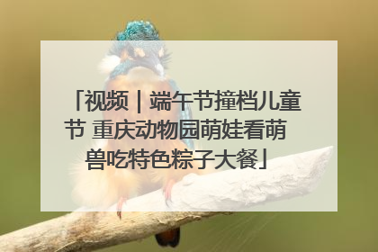视频｜端午节撞档儿童节 重庆动物园萌娃看萌兽吃特色粽子大餐