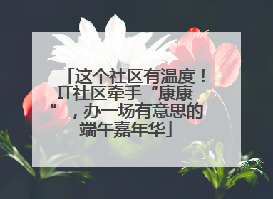 这个社区有温度！IT社区牵手“康康”，办一场有意思的端午嘉年华