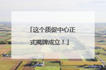 这个质促中心正式揭牌成立！