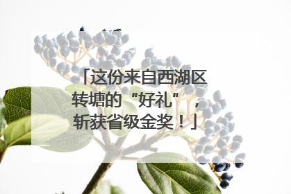 这份来自西湖区转塘的“好礼”，斩获省级金奖！