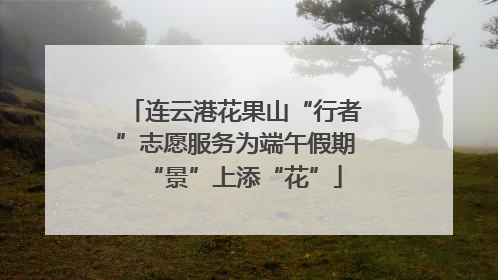 连云港花果山“行者”志愿服务为端午假期“景”上添“花”