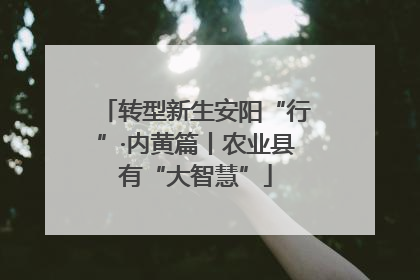 转型新生安阳“行”·内黄篇丨农业县有“大智慧”