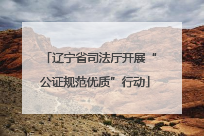 辽宁省司法厅开展“公证规范优质”行动